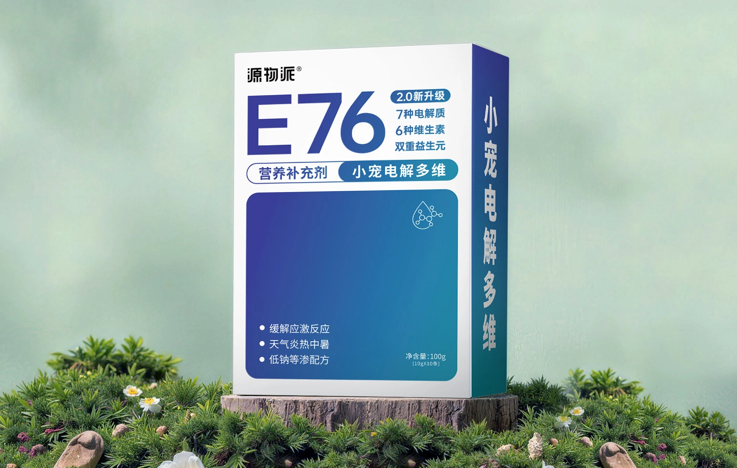 E76电解质粉