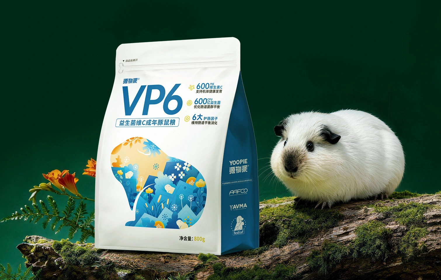 VP6荷兰猪粮